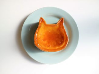 可愛すぎて食べられない!ねこの形のチーズケーキ専門店「ねこねこチーズケーキ」と「Pastel(パステル)」が広島市にオープン!