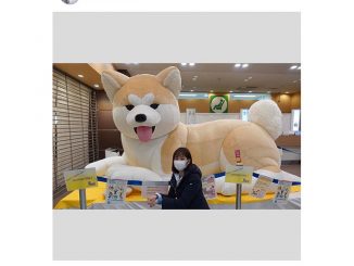 林美桜アナウンサー、八王子駅の巨大な秋田犬とご対面「ふわふわで大きかったです」