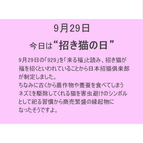9月29日は【招き猫の日】!!