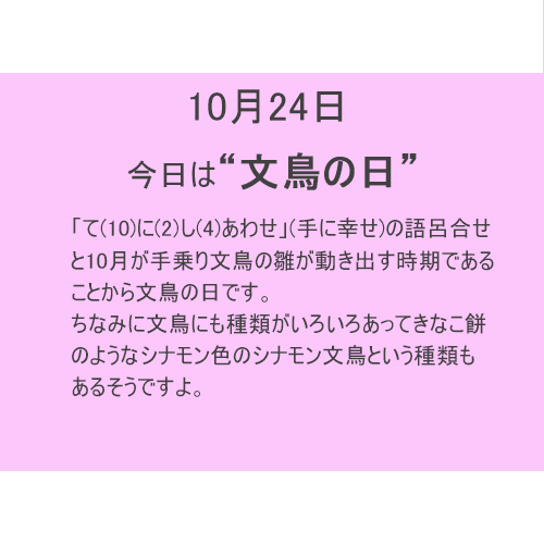 10月24日は”文鳥”の日！！