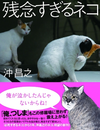 超人気猫写真家・沖昌之の最新写真集は『残念すぎるネコ』。ネコの数だけ残念がある🐈