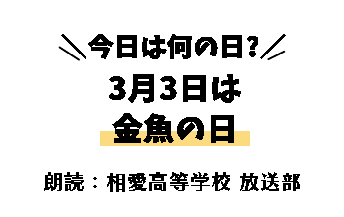 【今日は何の日】3月3日は「金魚の日」