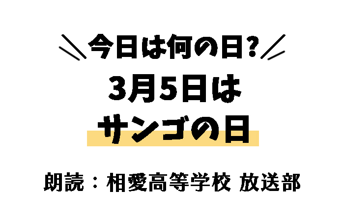 【今日は何の日】3月5日は「サンゴの日」