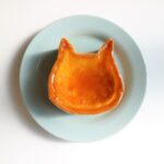 可愛すぎて食べられない！ねこの形のチーズケーキ専門店「ねこねこチーズケーキ」と「Pastel(パステル)」が広島市にオープン！