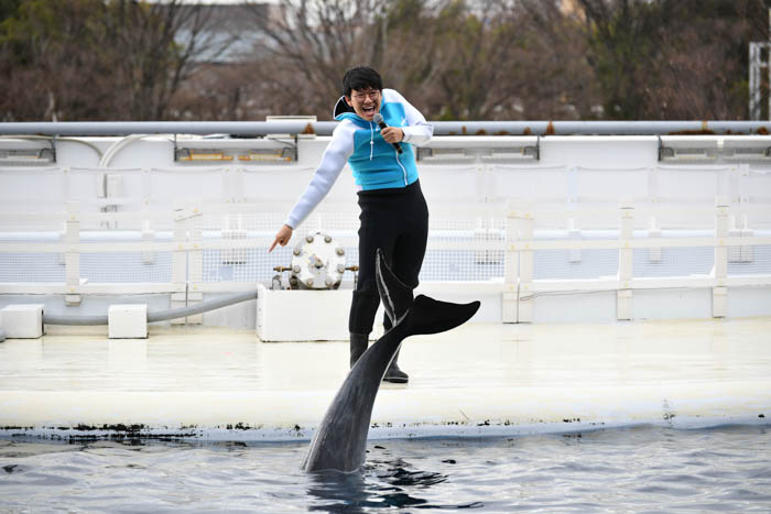 京都水族館10周年に同じく結成10年目のミキが登場！互いの10周年を機にミキ亜生がイルカの「テン（10）」と新コンビを結成！？