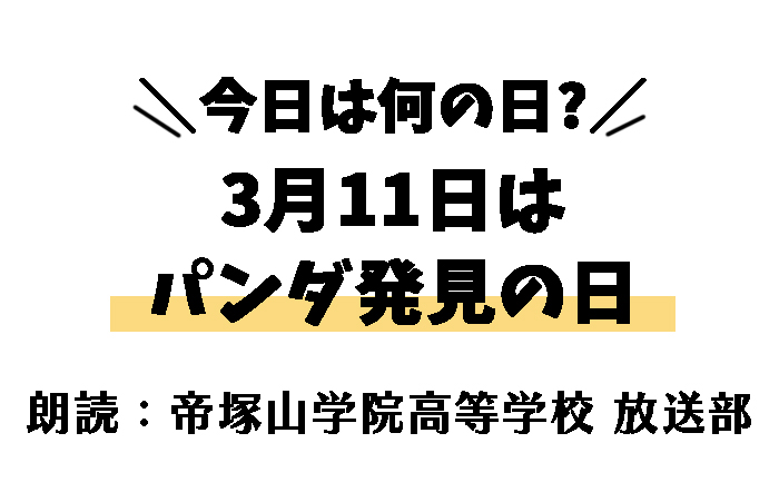 【今日は何の日】3月11日は 「パンダ発見の日」