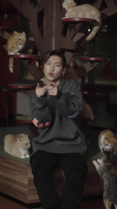 トップ YouTuber たちも TikTok で踊っている “犬と猫と” とは?日本語なのにアメリカで再生され続けている曲が盛り上がりを見せる