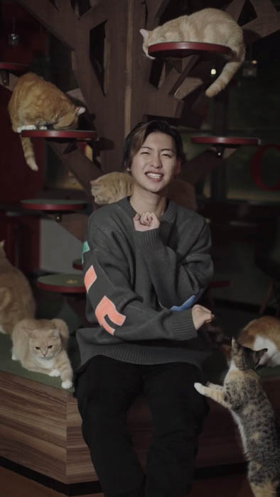 トップ YouTuber たちも TikTok で踊っている “犬と猫と” とは?日本語なのにアメリカで再生され続けている曲が盛り上がりを見せる