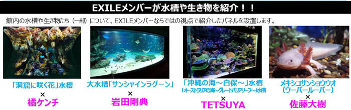 サンシャイン水族館 × EXILE～20th ANNIVERSARY～EXILE NIGHT AQUARIUM in サンシャイン水族館、テーマは『熱狂』！