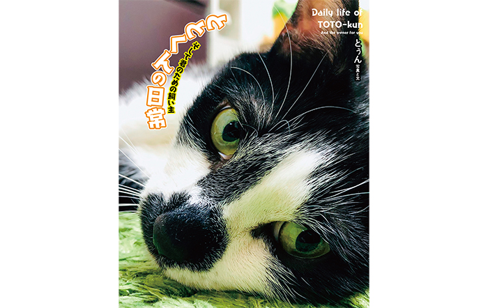 TikTokフォロワー60万人を持つ飼い主「とぅん」とその飼い猫の「ととくん」のさわがしい日常が待望の書籍化！！