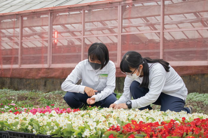 【栃木県立栃木農業高校】自身で育てた花の販売を行う”模擬会社フローラTOCHINOU”って？