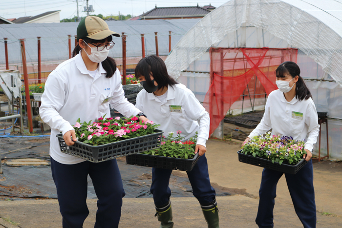 【栃木県立栃木農業高校】自身で育てた花の販売を行う”模擬会社フローラTOCHINOU”って？