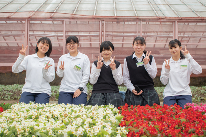 【栃木県立栃木農業高校】自身で育てた花の販売を行う”模擬会社フローラTOCHINOU”って？