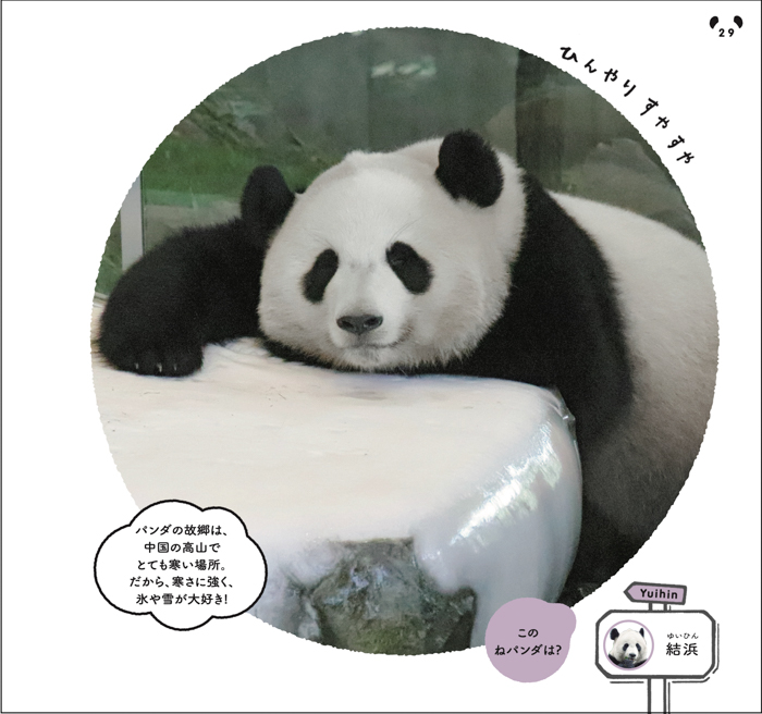 パンダの寝顔に癒やされる写真集『ねパンダ』が発売。双子パンダのシャオレイ、子パンダの楓浜などスター勢ぞろい！