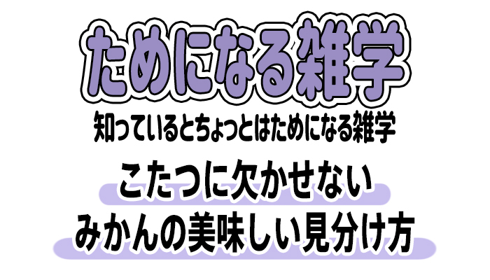 【雑学】こたつに欠かせないみかんの美味しい見分け方