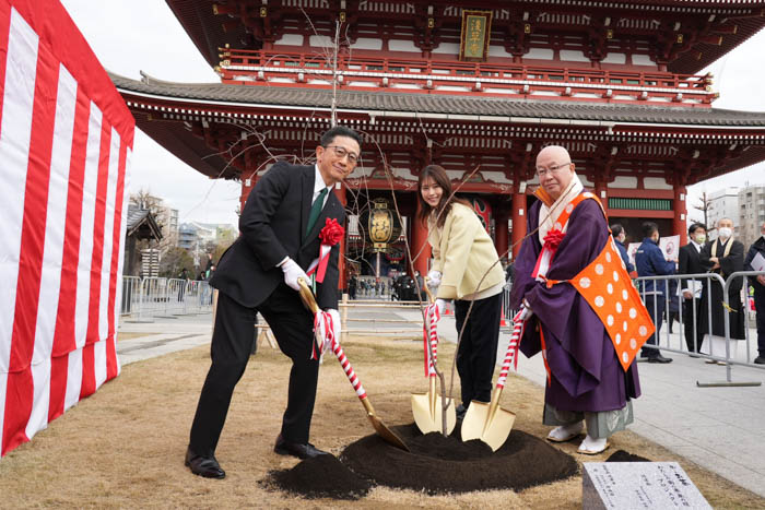 有村架純が登場！日本の文化「桜」を未来につなぐ伊藤園が桜の植樹・保全を行う「わたしの街の未来の桜」プロジェクト