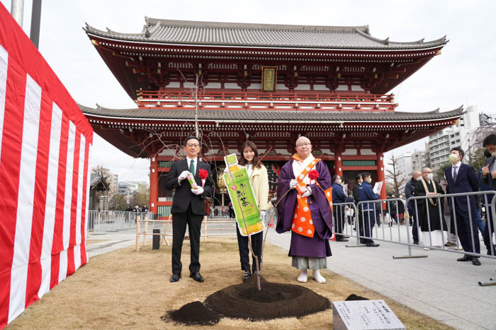 有村架純が参加！日本の文化「桜」を未来につなぐ伊藤園が桜の植樹・保全を行う「わたしの街の未来の桜」プロジェクト
