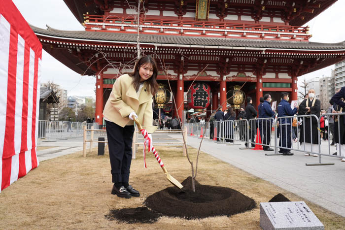 有村架純が参加！日本の文化「桜」を未来につなぐ伊藤園が桜の植樹・保全を行う「わたしの街の未来の桜」プロジェクト