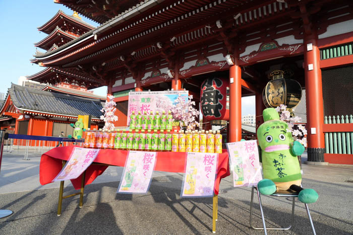 有村架純が参加！日本の文化「桜」を未来につなぐ伊藤園が桜の植樹・保全を行う「わたしの街の未来の桜」プロジェクト