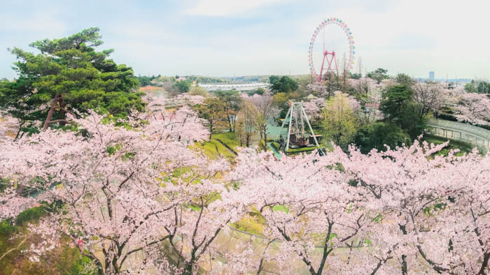 西武園ゆうえんちが感謝を込めてお届けする特別な1年「とびっきりスゴYEAR！」がこの春開幕！