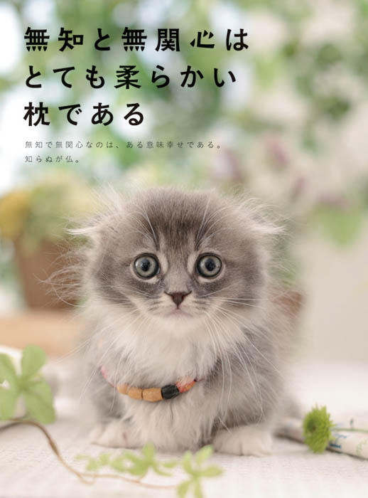 役立ちそうで役に立たない一冊『にゃんだか心に響くことば』が絶賛発売中！