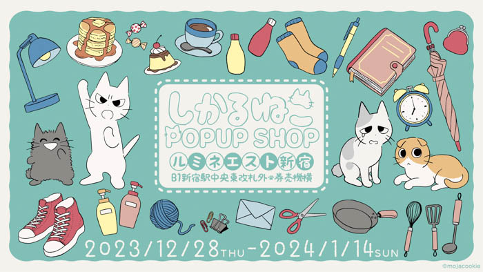 “叱ってくれる”SNS投稿が人気の猫キャラクター「しかるねこ」のPOP UPが12月28日よりルミネエスト新宿で開催決定！