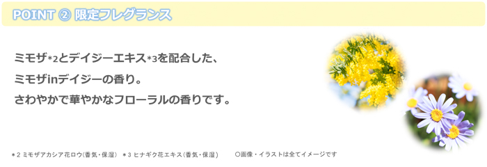 「&honey」と「&PAIR」から「シナモロール、ポムポムプリン」と「マイメロディ、クロミ」限定デザインが登場!