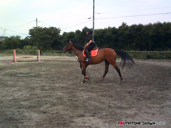 【熊本県立熊本翔陽高等学校】馬術部員が撮影した馬術部