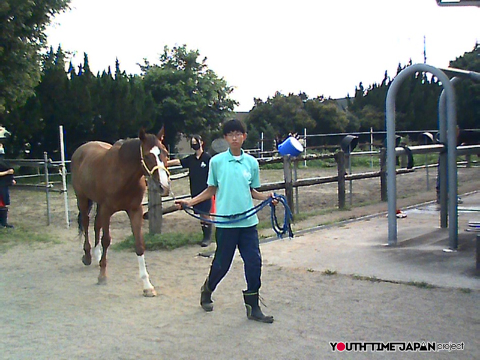 【熊本県立熊本翔陽高等学校】馬術部員が撮影した馬術部