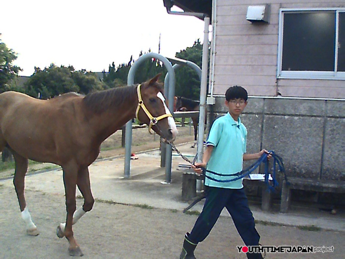 【熊本県立熊本翔陽高等学校】馬術部員が撮影した馬術部