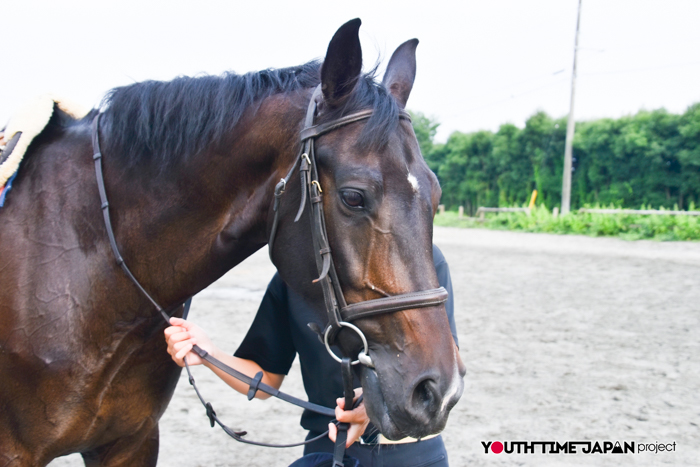 【熊本県立熊本翔陽高等学校】編集部が撮影した馬術部