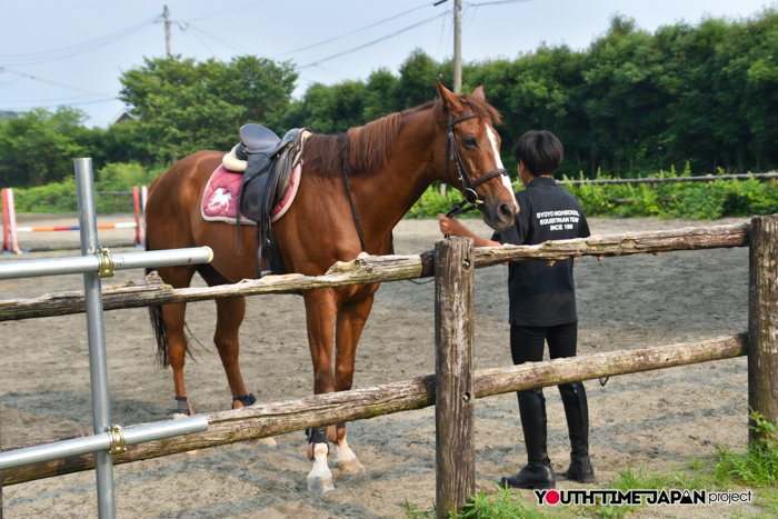 【熊本県立熊本翔陽高等学校】編集部が撮影した馬術部