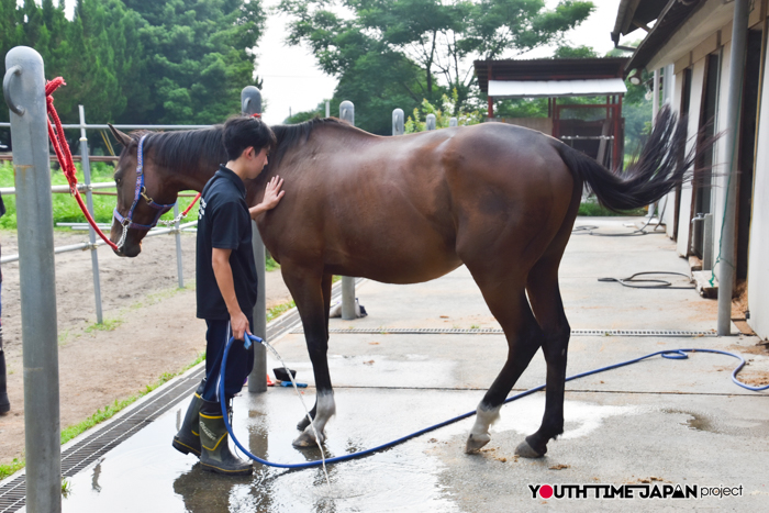 【熊本県立熊本翔陽高等学校】編集部が撮影した馬術部
