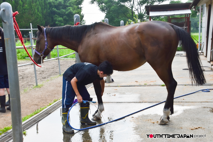 【熊本県立熊本翔陽高等学校】編集部が撮影した馬術部