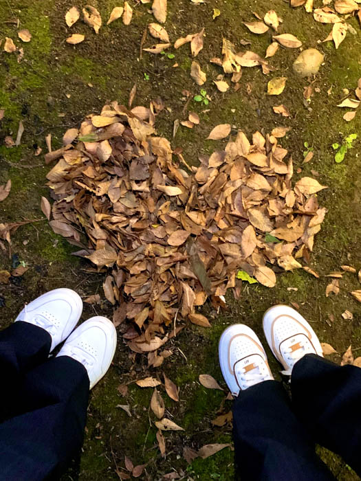 【上越高等学校】高校生が撮影した高校生