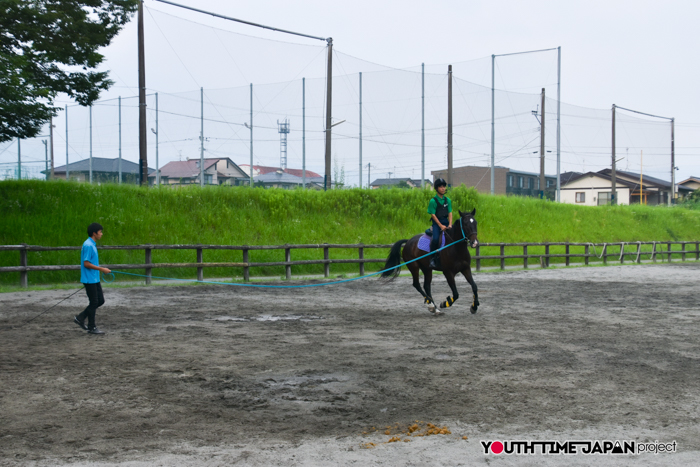 【熊本県立熊本翔陽高等学校】編集部が撮影した馬術部