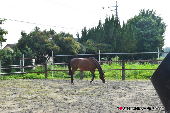 【熊本県立熊本翔陽高等学校】編集部が撮影した馬術部