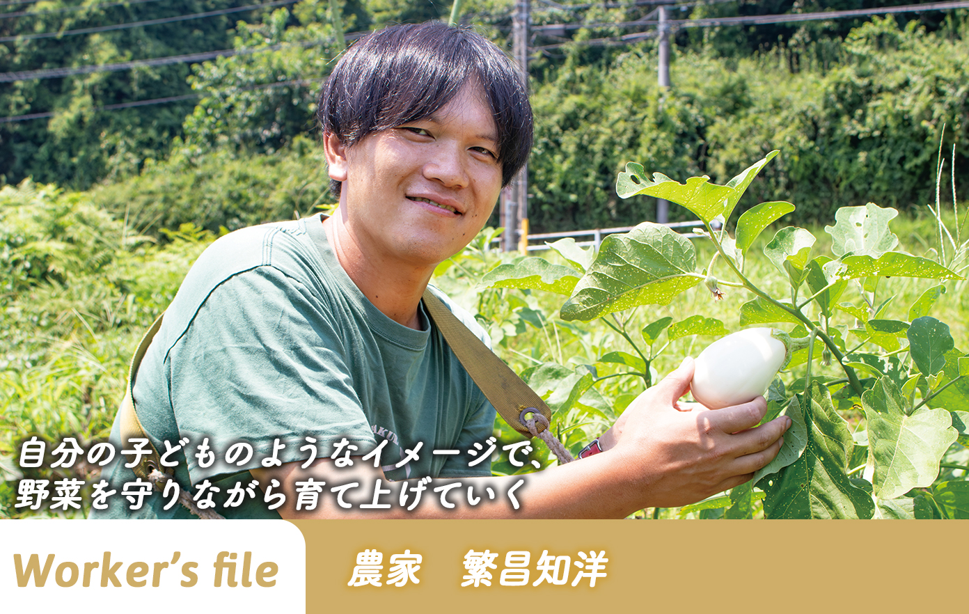 【インタビュー】農家　繁昌知洋「自分の子どものようなイメージで、 野菜を守りながら育て上げていく」