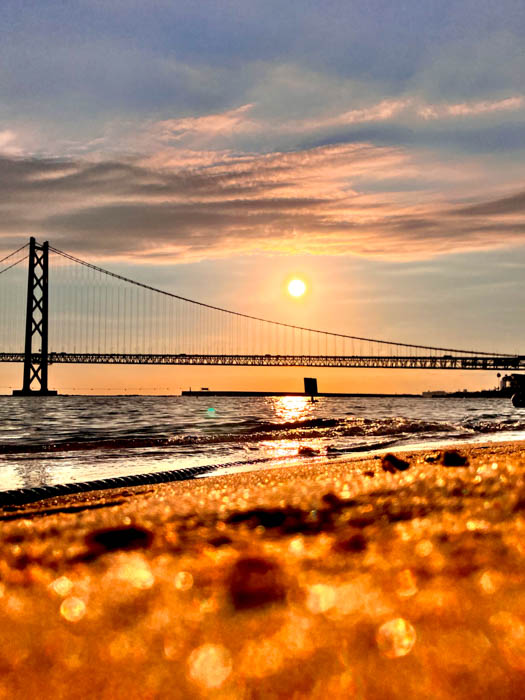 【神戸野田高等学校】高校生が撮影した写真