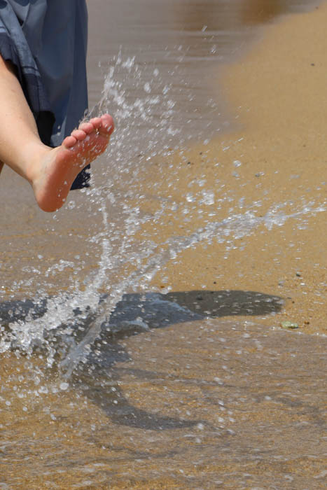 【神戸野田高等学校】高校生が撮影した写真