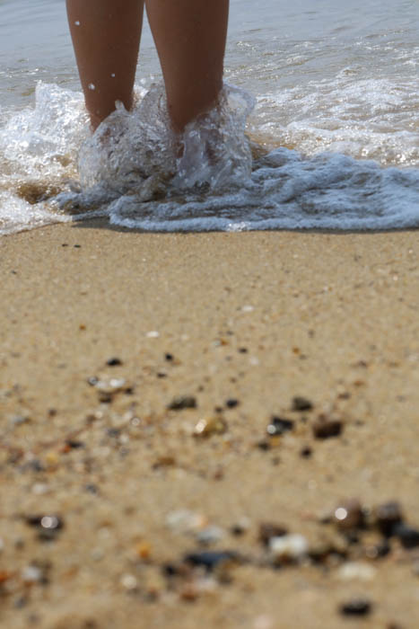 【神戸野田高等学校】高校生が撮影した写真