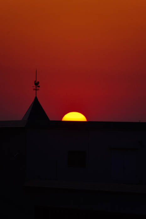【神戸野田高等学校】高校生が撮影した写真