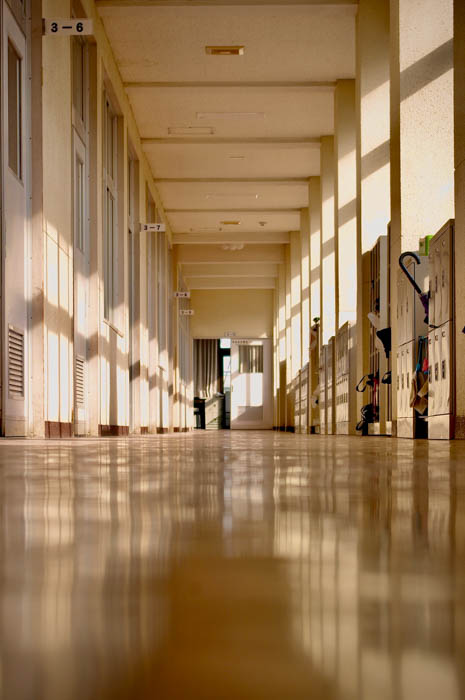 【神戸野田高等学校】高校生が撮影した写真