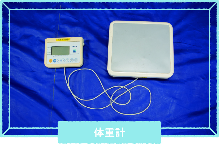 大阪府立いちりつ高等学校 レスリング部「勝てなかった相手に勝った時は、自分の成長を実感できる」 【Spotlight VOL.68】