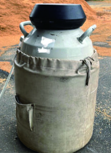 【インタビュー】和牛繁殖農家　千葉一樹「生命の誕生を感じられると同時に、 死が隣り合わせにあるという面も含めて畜産の魅力」