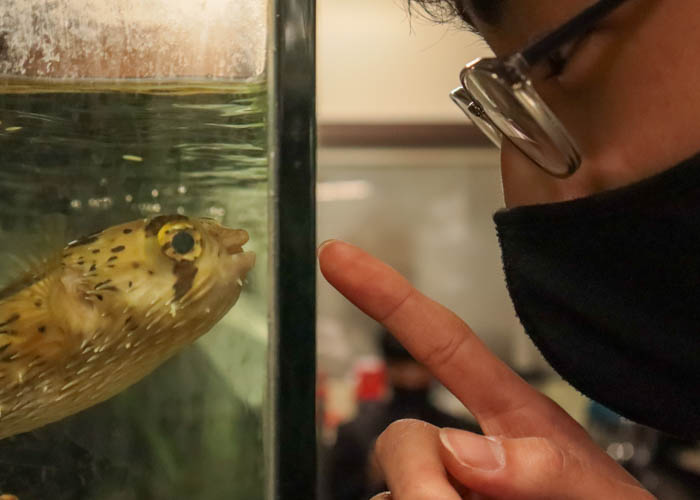 【栃木県立宇都宮高等学校】高校生が撮影した高校生