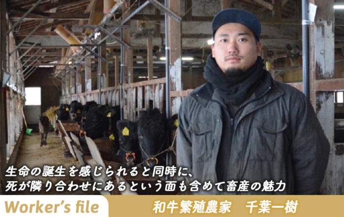 【インタビュー】和牛繁殖農家　千葉一樹「生命の誕生を感じられると同時に、 死が隣り合わせにあるという面も含めて畜産の魅力」
