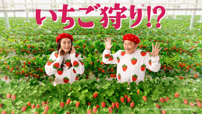 投稿についてもっと詳しく 吉田鋼太郎、八木莉可子がキュートないちごづくしの衣装でいちご狩りに挑戦！？新TVCM「白をまとったいちご狩り®」篇1月6日（火）より放映開始！