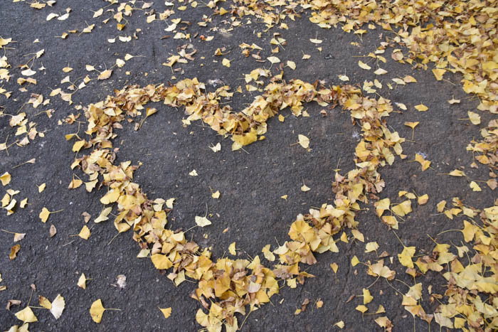 【桜林高等学校】高校生が撮影した高校生