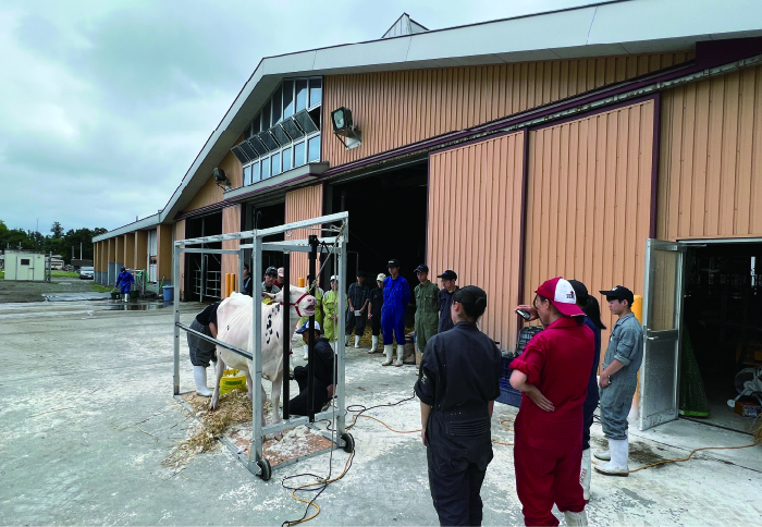 北海道帯広農業高等学校 ホルスタインクラブ「5年に一度の「乳牛のオリンピック」が開催！ 乳牛と心を通わせ掴んだ受賞への歩み」